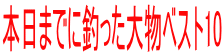 �{���܂łɒނ����啨�x�X�g10